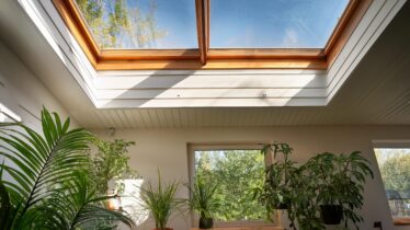 Skylights and Indoor Plants Creating Your Own Kiwi Rainforest